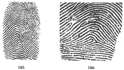 arch fingerprint