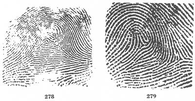 The Science of Fingerprints